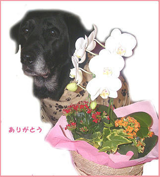 080311_1.jpg