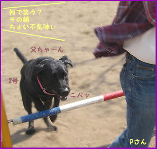 080324_3.jpg