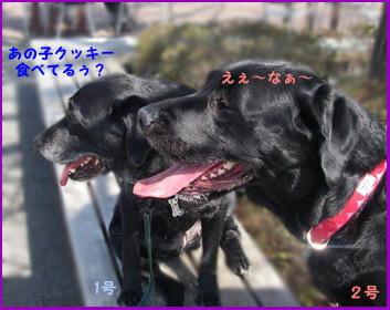 080324_5.jpg