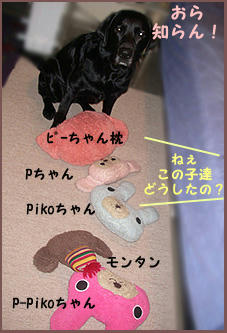 080326_1.jpg