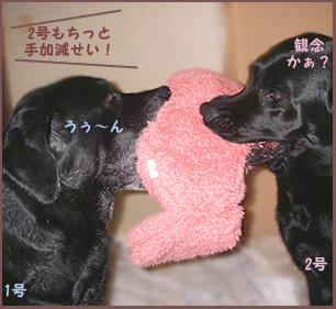080326_3.jpg