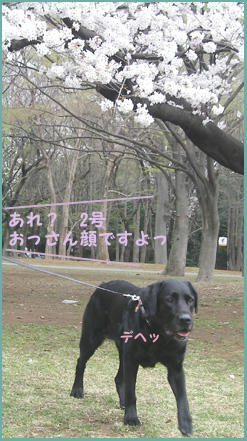 080401_3.jpg
