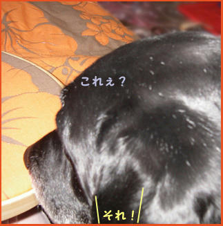 080404_3.jpg