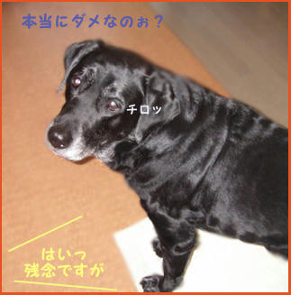 080404_5.jpg