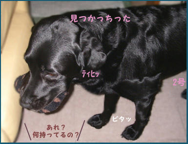 080420_2.jpg