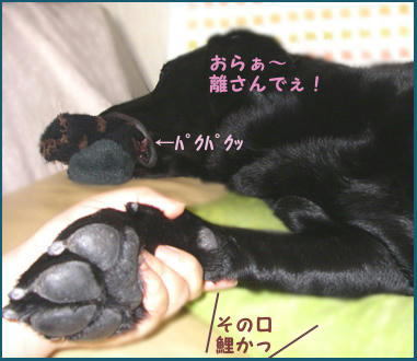 080420_4.jpg