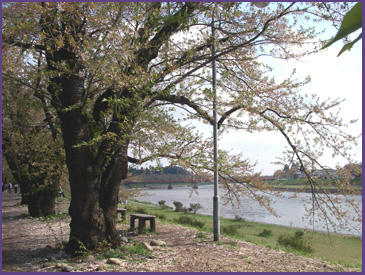 080427_2.jpg