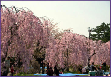080427_6.jpg