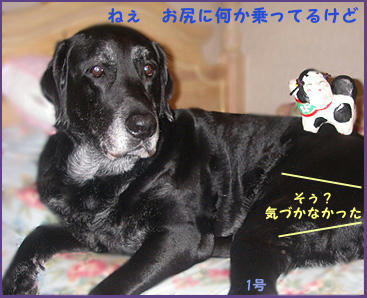 080427_10.jpg