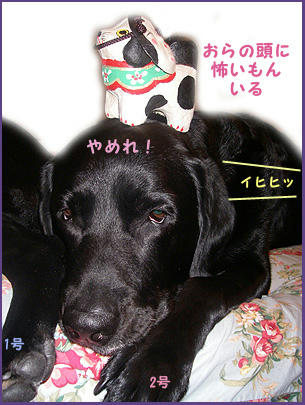 080427_11.jpg