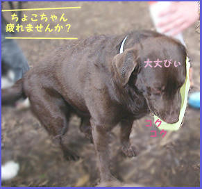 080505_8.jpg