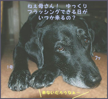 080710_6.jpg