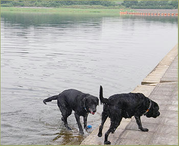 080802_1.jpg