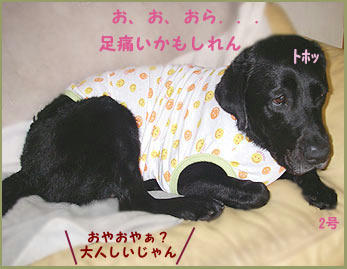 080802_7.jpg