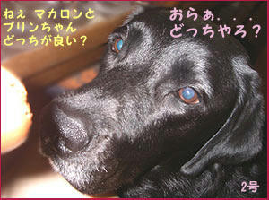 080808_4.jpg