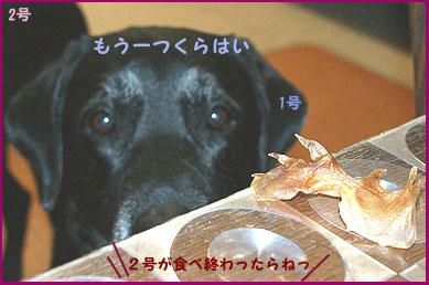 080919_5.jpg