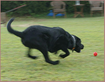 080926_4.jpg