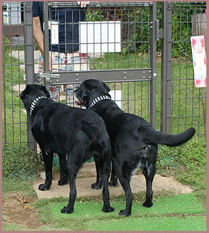 080926_5.jpg