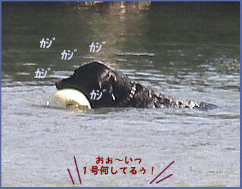 080927_7.jpg