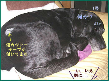 081006_2.jpg