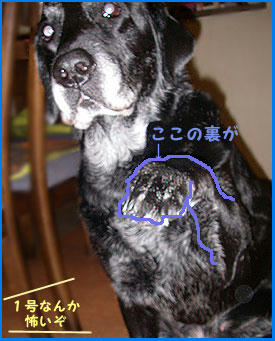 081008_4.jpg