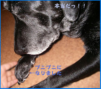 081008_5.jpg
