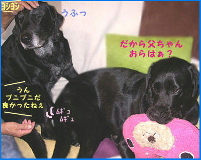 081008_8.jpg
