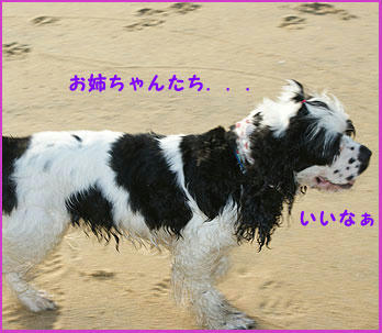 081021_4.jpg
