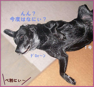 081104_3.jpg