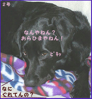 081108_1.jpg