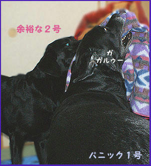 081108_4.jpg