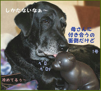 081110_4.jpg