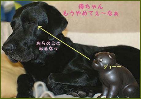 081110_6.jpg