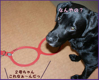 081112_2.jpg