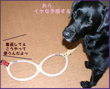 081112_3.jpg