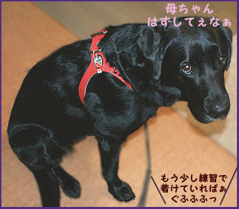 081112_6.jpg