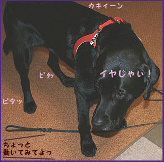 081112_8.jpg