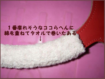 081118_3.jpg