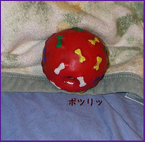 081120_2.jpg