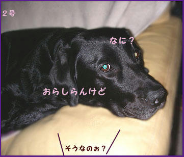 081120_5.jpg