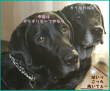 081121_4.jpg