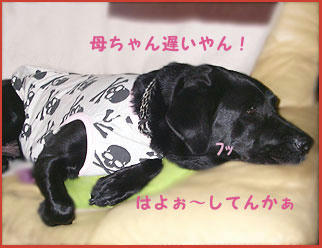 081126_1.jpg