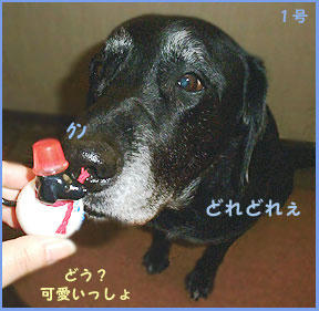 081128_3.jpg