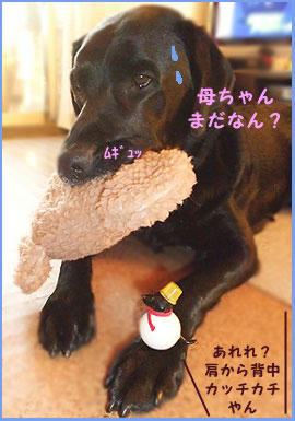 081128_6.jpg