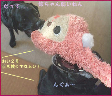 081130_5.jpg