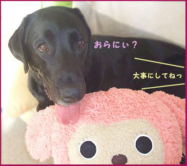 081130_10.jpg