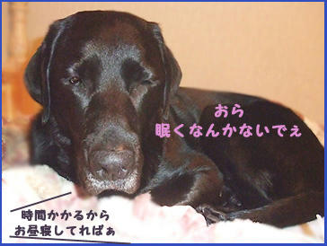 081203_1.jpg