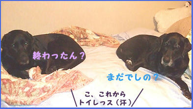 081203_6.jpg