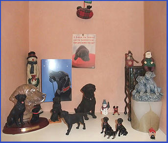 081203_8.jpg