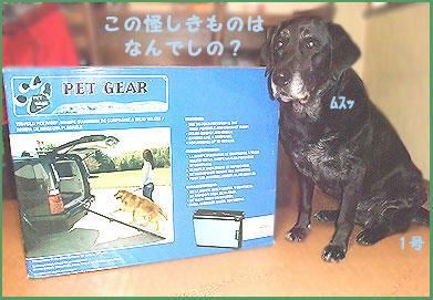 081205_1.jpg